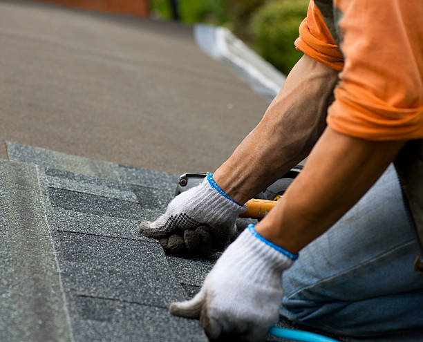 Best Metal Roofing Contractor  in Orofino, ID